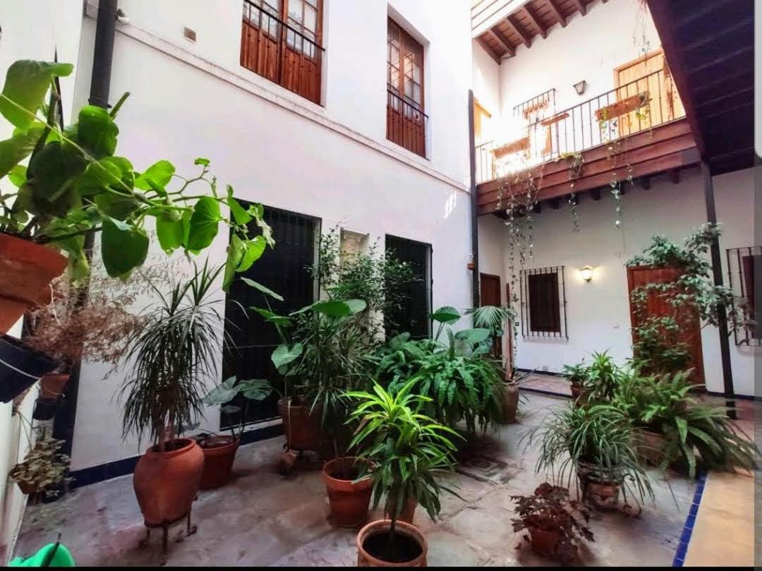 Coco Home Sevilla Urban Apartment Exteriör bild